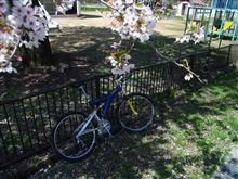 遅～い花見♪