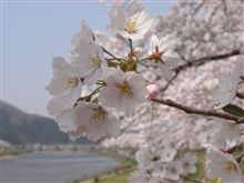 去年より１週間早かった・・・