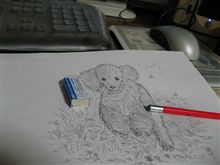 まだ追加中。フォトあげてます。