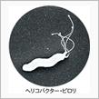 身近に潜むピロリ菌