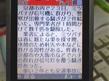 毎年この時期に書いているような（笑）
