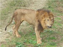 多摩Zoo 多摩Zoo