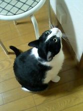 ああ・・・