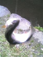 魚釣り！