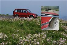 エスクードで牛糞ドライブ エスクードで牛糞ドライブ