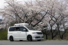 そろそろ、桜も終わる頃かなぁ(&#180;ｰ`)y-~~