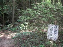 すわっ 砂金がザックザク!?