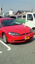 今日のお隣さん