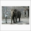 金沢動物園