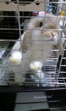 車ネタではないのですがぁ…(^o^)