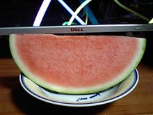 種なし？