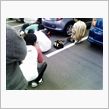 富士でもやっぱり(笑)