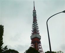 今日は