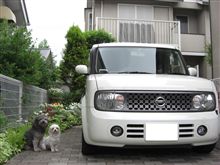ヘッダー画像変えてみました！