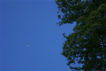 [今日も良い天気でしたね♪]