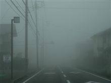 朝から真っ白