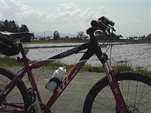 愛されてるみたい(汗