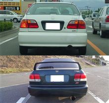 Ferioなお尻２種