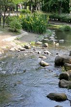 足立区　しょうぶ沼公園