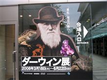 エヴォリューション エヴォリューション