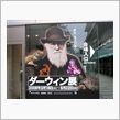エヴォリューション