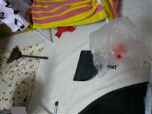 ネズミ捕獲作戦　顛末