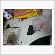 ネズミ捕獲作戦　顛末