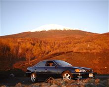 今日は母上の運転手の日