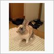 宿題できたし♪