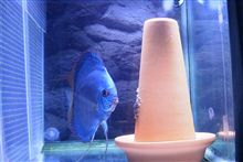 昔の写真をひとつ・・・
