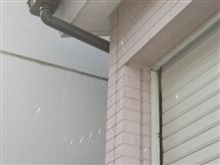 苦労をふいにしてごめんなさいね