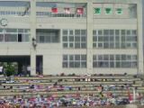 今日は