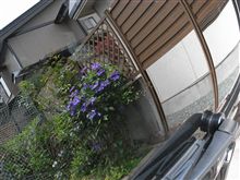 ほんとうは・・・