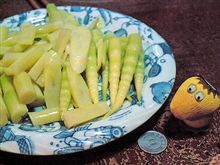 タケノコの季節。 タケノコの季節。