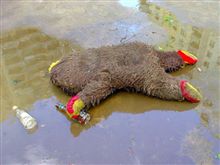 酔っ払いの独り言 酔っ払いの独り言