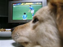 ＯＨ～ニッポン～♪