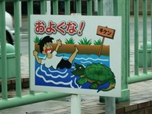 こんなの居たら こんなの居たら
