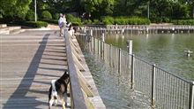 ちょっと前の話ですが・・・