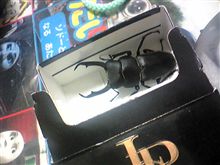 初物入荷しました！（笑）