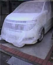 謎のベールに包まれて・・・