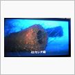 海底に眠る、戦艦長門