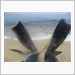 &#39;08ぶらり潜り旅inたまねぎ島
