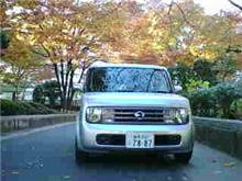 東京の紅葉