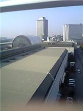 きちゃった（爆）