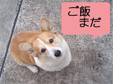 ［何シテル？］のふきだしどうします？