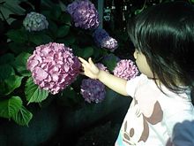 【親ばか日記】朝の一コマ