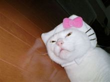 娘に問題画像を見せました（笑）