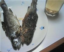 酒の肴