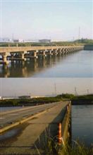 日本で埼玉・徳島・高知・大分だけ