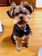 おめでとう+｡:.ﾟヽ(*&#180;∀`)ﾉﾟ.:｡+ﾟ